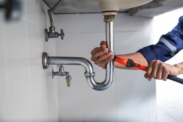 Best Drain Cleaning & Maintenance in Warroad, MN